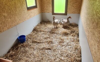 Gerda und Gustav sind da